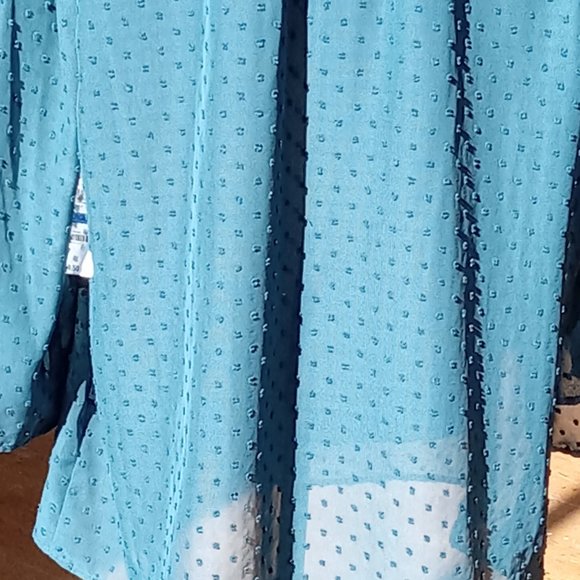 Blue sheer laser velour cut embellished top - Picture 2 of 13